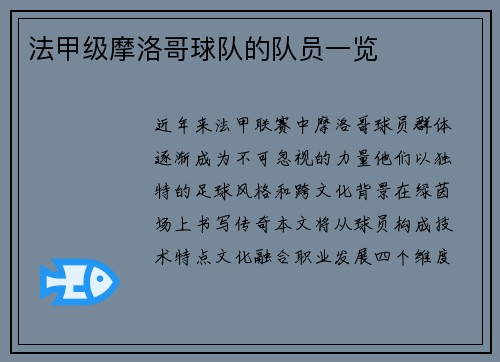 法甲级摩洛哥球队的队员一览